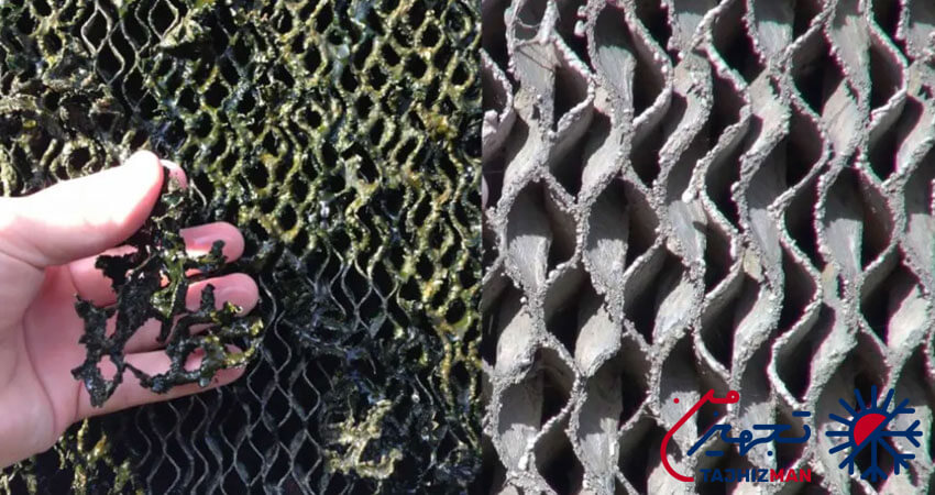 تمیز کردن پد سلولزی